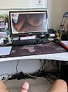 Tribute, foto 3000x4000, 1 reacties, 1 stemmen