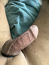 Triller in Kont, foto 2448x3264, 1 reacties, 2 stemmen