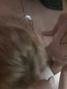 Trio, film 00:00:15, 34 reacties, 178 stemmen