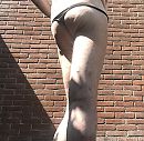Tuin 2, foto 952x936, 1 reacties, 2 stemmen