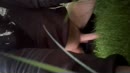 Tuinslang..., film 00:00:00, 1 reacties, 7 stemmen