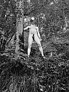Tussen de bomen, foto 1521x2028, 1 reacties, 10 stemmen