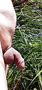 Tussen de groene beplanting., foto 1212x2560, 4 reacties, 12 stemmen