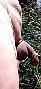 Tussen het groen., foto 1212x2560, 1 reacties, 8 stemmen