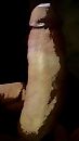 U tease me, foto 1248x2192, 1 reacties, 3 stemmen