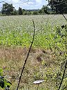 Uitzicht, foto 3000x4000, 0 reacties, 0 stemmen
