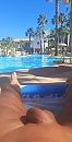 Vakantie, foto 1844x3618, 3 reacties, 15 stemmen