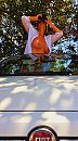 Vakantie......, foto 1078x1926, 21 reacties, 85 stemmen