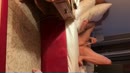Vakantie, film 00:00:00, 14 reacties, 59 stemmen