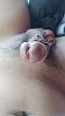 Van mijn beste vriend..., foto 720x1280, 1 reacties, 3 stemmen