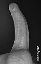 Van onderen!, foto 1566x2412, 0 reacties, 2 stemmen