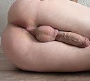Van voor tot achter, foto 2544x2306, 21 reacties, 44 stemmen