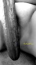 Cumkommer, foto 1075x1912, 3 reacties, 15 stemmen
