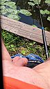 Vissen, foto 2250x4000, 0 reacties, 4 stemmen