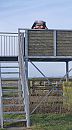 Vogels spotten……, foto 781x1396, 4 reacties, 51 stemmen