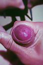 Voorpret met jou…, foto 819x1225, 0 reacties, 0 stemmen