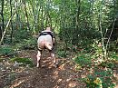 Vraagt om????, foto 4000x3000, 3 reacties, 8 stemmen