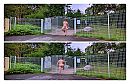 Walk-in-the-park?, foto 2040x1334, 3 reacties, 14 stemmen