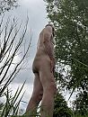 Wandelen, foto 2113x2781, 2 reacties, 6 stemmen