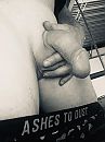 Wanna play, foto 1200x1600, 4 reacties, 5 stemmen