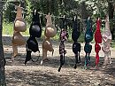 Wasdag op de camping 1, foto 4000x3000, 2 reacties, 6 stemmen