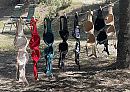 Wasdag op de camping 2, foto 3024x2147, 5 reacties, 8 stemmen