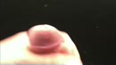 Wat mot dat mot….. ;-), film 00:00:24, 6 reacties, 11 stemmen