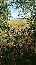 Wat is Drenthe toch mooi, foto 1080x1920, 0 reacties, 0 stemmen
