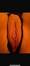 Wat vind je?, foto 1179x2556, 9 reacties, 22 stemmen