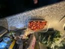 Weer aan het koken, film 00:00:00, 1 reacties, 6 stemmen