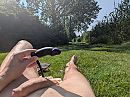Weinig te beleven, foto 4000x3011, 3 reacties, 14 stemmen
