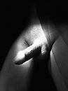 Welk kutje heeft zin …?, foto 2316x3088, 0 reacties, 0 stemmen