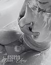 Wet and soapy, foto 550x699, 30 reacties, 84 stemmen