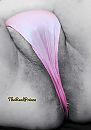 Wet panty ♡, foto 2396x3400, 7 reacties, 26 stemmen