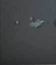 Wie lust ?, film 00:00:14, 1 reacties, 10 stemmen