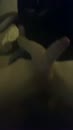 Wie maakt het af?, film 00:00:04, 7 reacties, 18 stemmen