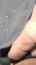 Wie oh wie?, film 00:00:00, 7 reacties, 12 stemmen