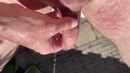 Wie wil mijn buurman zijn?, film 00:00:19, 12 reacties, 16 stemmen