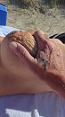 Wie helpt, foto 1080x1920, 6 reacties, 38 stemmen