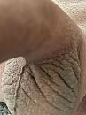 Wie maakt hem hard?, foto 3000x4000, 7 reacties, 12 stemmen