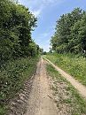 Wie op de Maashorst, foto 3000x4000, 3 reacties, 4 stemmen