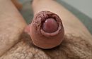 Wie wil hem een likje geven., foto 3344x2181, 2 reacties, 6 stemmen