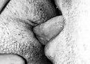 Wie wilt gelikt worden ..?, foto 1179x848, 2 reacties, 1 stemmen