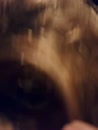 Wij, film 00:00:00, 20 reacties, 109 stemmen