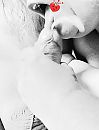 Wil jij ook ?, foto 720x938, 7 reacties, 22 stemmen