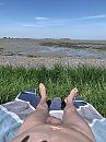 Wilhelminapolder, foto 3000x4000, 2 reacties, 6 stemmen