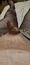 Word er zo geil van, foto 1848x4000, 3 reacties, 6 stemmen