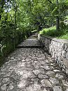 X, foto 3000x4000, 1 reacties, 3 stemmen