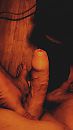 X, foto 1080x1920, 0 reacties, 3 stemmen