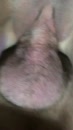 Xxx, film 00:00:00, 90 reacties, 412 stemmen